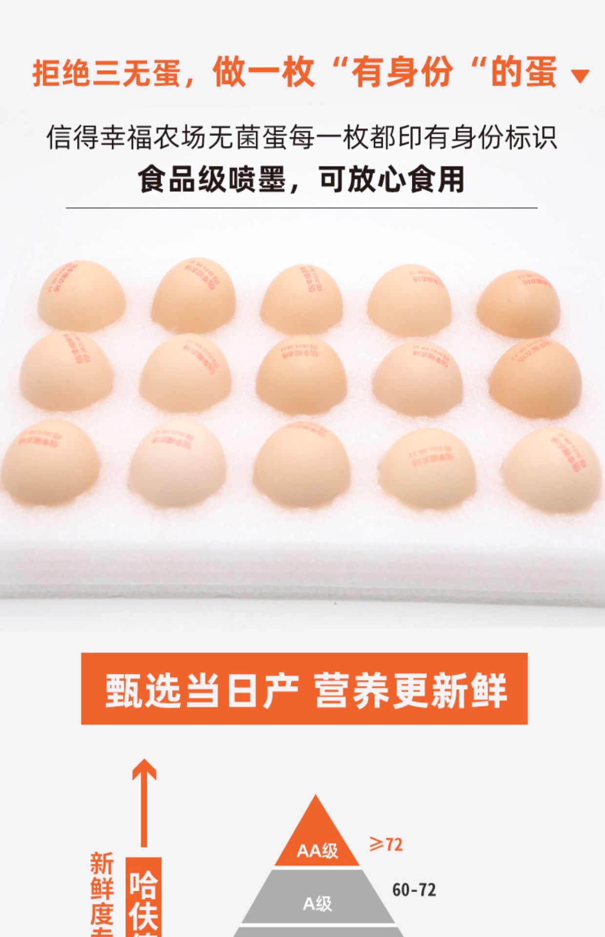 详情图片_18.jpg