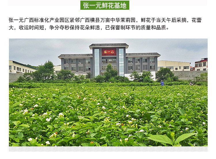 详情页_13.jpg