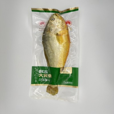 冰冻大黄鱼 深海黄花鱼400-450g/条