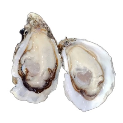 乳山生蚝工厂批发单个2.5两蚝50斤箱1件鲜活海鲜水产海产牡蛎