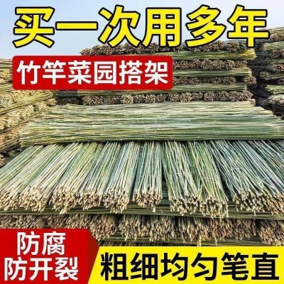 竹竿菜园搭架竹子户外旗杆黄瓜豆角爬藤菜架子竹杆支架豇豆搭架杆