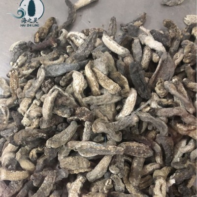 一手批发小白肚参小赤参赤参便宜小海参400头全国发货一件代发